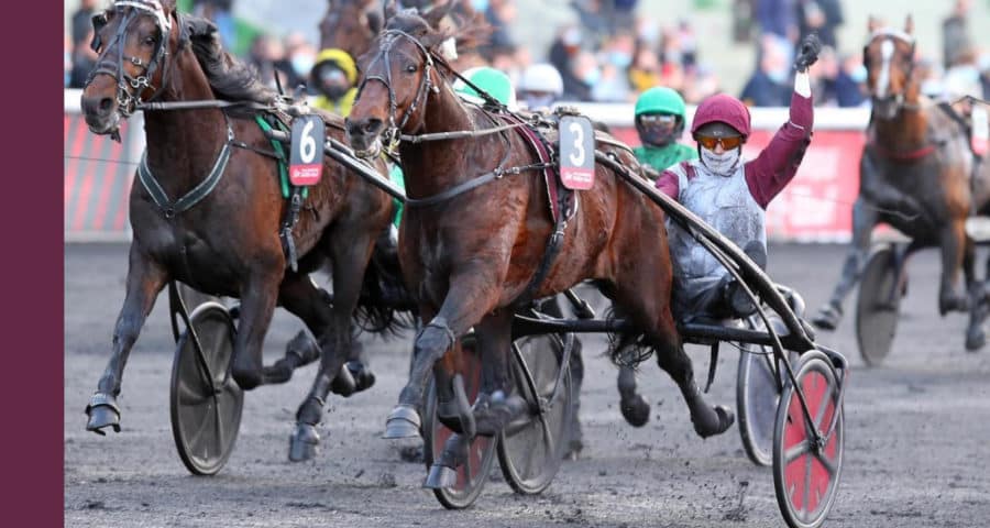 Quinté Pronostic du jour à Vincennes