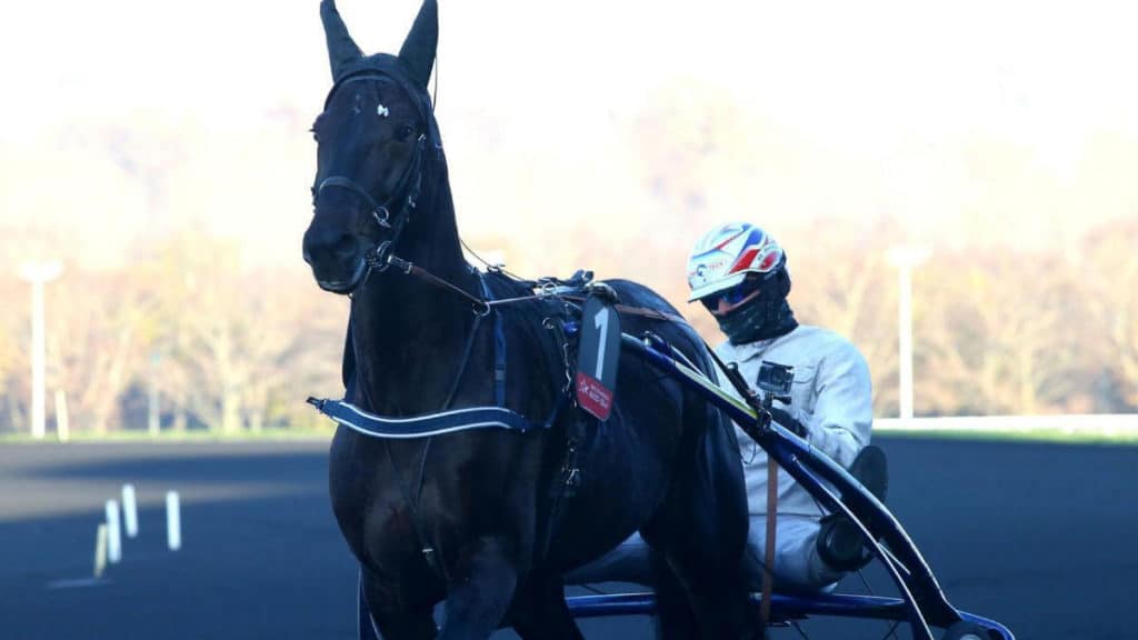 Quinté discipline trot attelé, voici la base quinté en or de notre pronostic quinté du jour