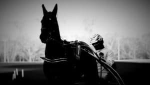 Le cheval solide en base du pronostic du quinté sur hippodrome de Paris Vincennes
