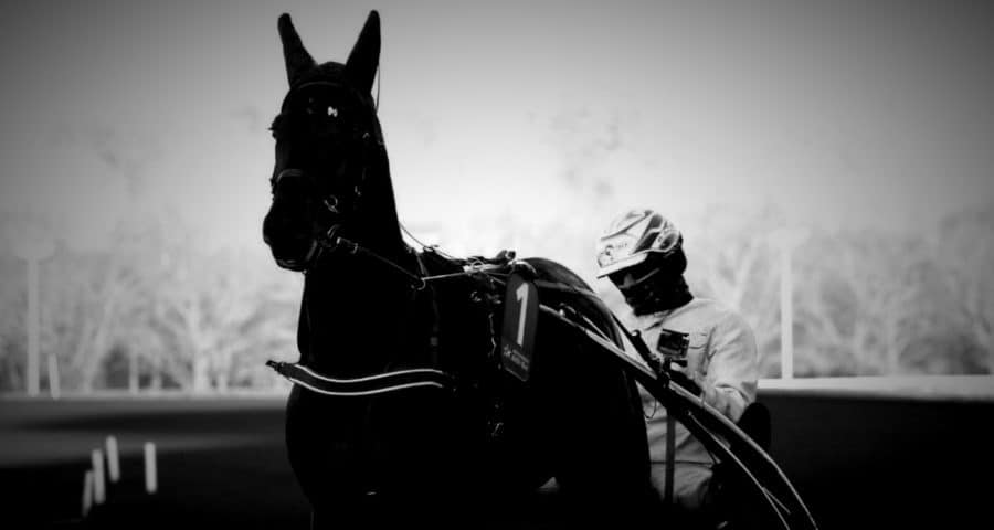Le cheval solide en base du pronostic du quinté sur hippodrome de Paris Vincennes