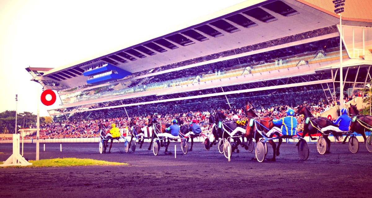 Quinté pronostic piste de Vincennes chevaux courses hippiques