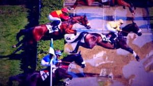 Le pronostic quinté pour cette course de galop sur les obstacles