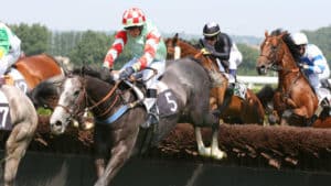 Pronostic Quinté : Courses de chevaux obstacles pronostic résultats base actualité