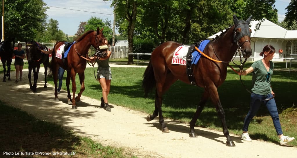 Quinté base et tocard du jour