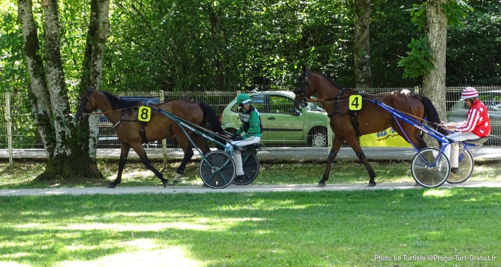 2 bases quinté en or avec 2 chevaux trotteurs sur herbe