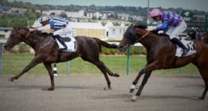 2 chevaux qui galopent sur le sable 2 bases de jeux