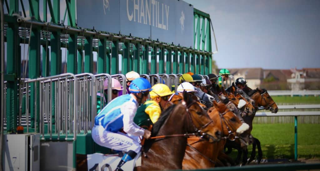hippodrome de chantilly 16 chevaux et jockeys démarrent au grand galop pour gagner la course. Photo : prono turf gratuit
