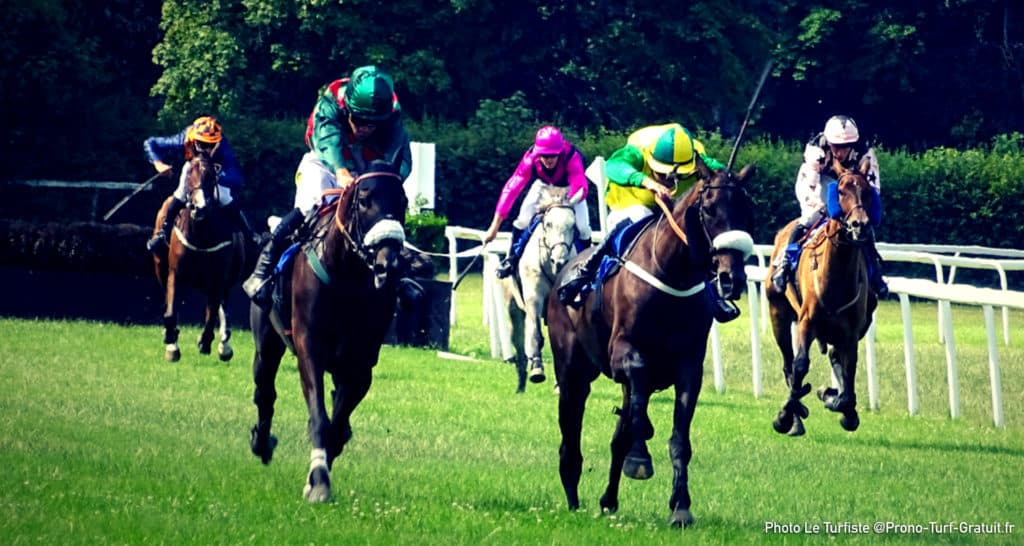 Pronostic avec base solide et meilleur tocard. Photo : Prono Turf - Le Turfiste