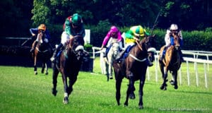Pronostic avec base solide et meilleur tocard. Photo : Prono Turf - Le Turfiste