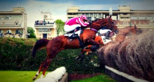 Un bon cheval sautant les haies du parcours de Steeple-chase. Crédit Photo : France Galop