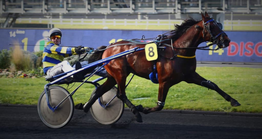 1 2 3 4 Bases. Ce cheval est un crack et une base solide. Photo : Le Trot.