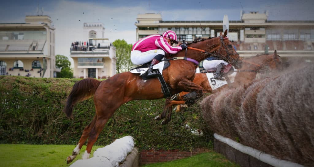 Quinté à Auteuil : obstacles 2 bases, chevaux en pleine action. Photo : France galop
