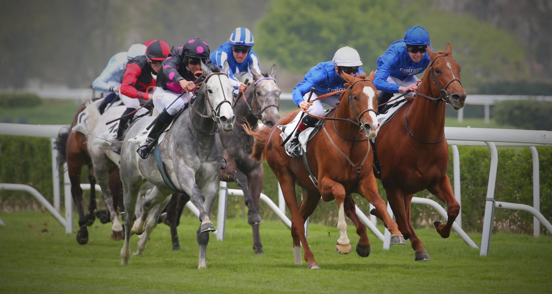 Course de galop support du quinté du jour