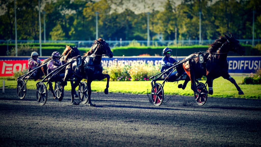 PMU - Pronostic officiel de notre expert du turf pour le quinté du jour Vincennes