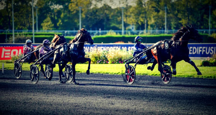 PMU - Pronostic officiel de notre expert du turf pour le quinté du jour Vincennes