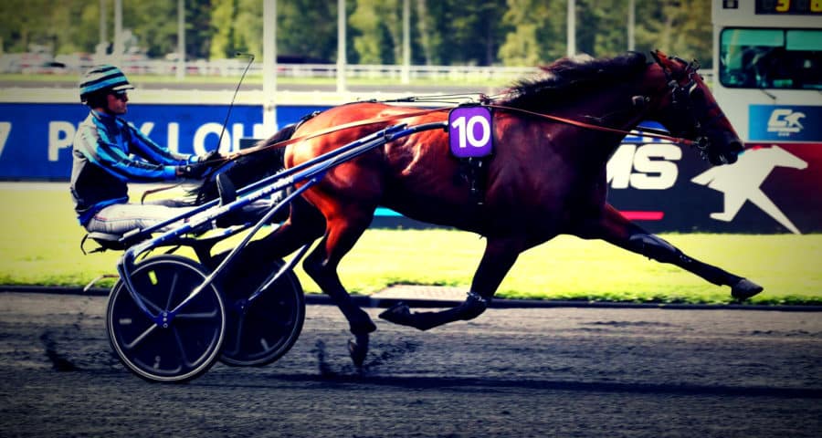 PMU - Pronostic officiel de notre expert du turf pour le quinté du jour à Vincennes