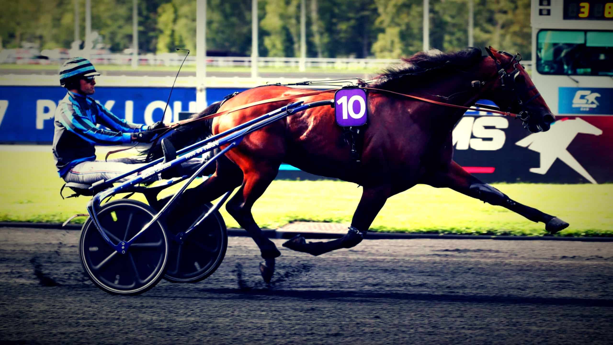 Pronostic PMU ‣ Base Quinté en Or et Tocard ‣ Lundi 26/08 Pronostic PMU ‣ Base Quinté en Or et Tocard ‣ Lundi 26/08