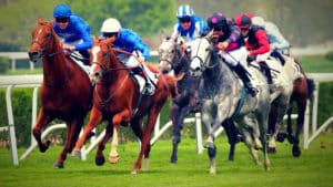 PMU - Pronostic officiel de notre expert du turf pour le quinté du jour au galop