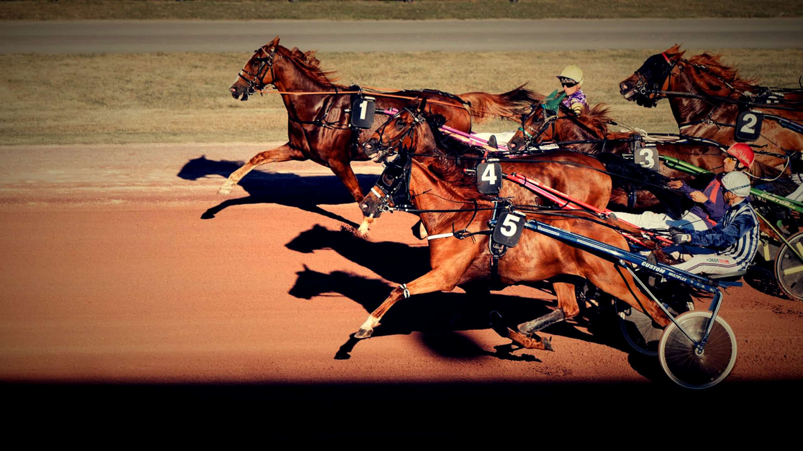 Prono du Jour. Tuyaux pour le Quinté du Mercredi 02/10/2024 Prono du Jour. Tuyaux pour le Quinté du Mercredi 02/10/2024