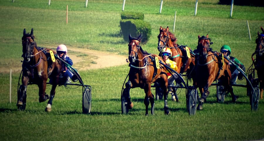 5 Trotteurs sur gazon à Craon Pronostic officiel de notre expert pour le trophée vert