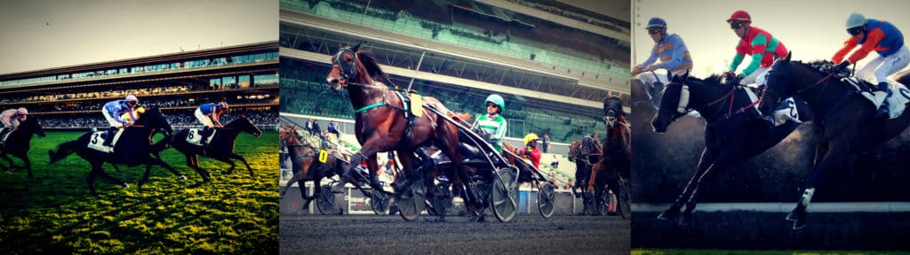 Au trot, au galop et sur l'obstacle : ne manquer pas le meilleur prono PMU pour le quinté du jour !