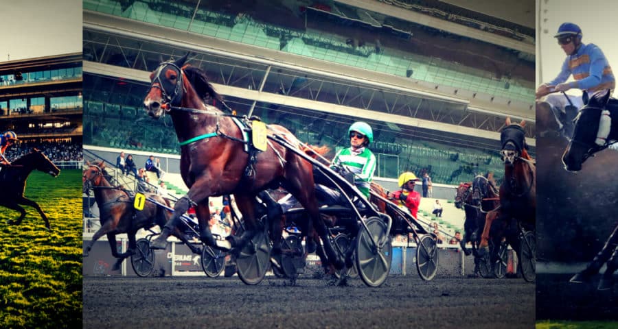 Au trot, au galop ou sur l'obstacle : le meilleur prono !