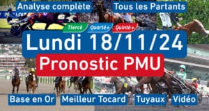 Base et Tocard. Pronostic PMU pour le quinté du lundi 18_11_2024