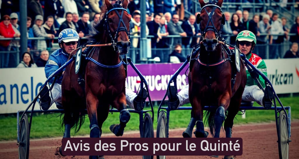 Avis des entraineurs de trotteurs pour le Quinté du Jour