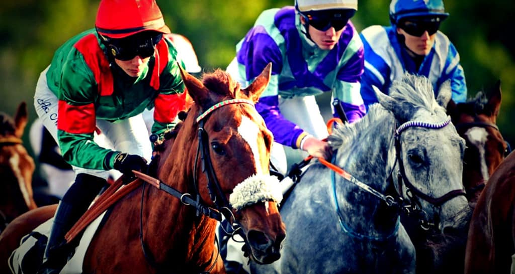 PMU. Bases solides et Pronostic Quinté du Jour au Galop