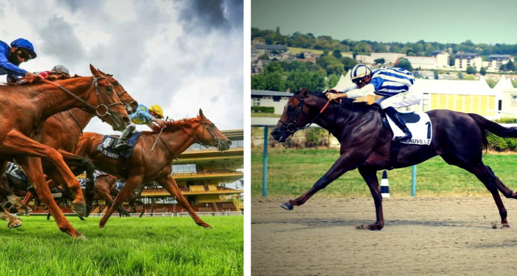 Quinté. Avis des entraineurs et jockeys avec 2 tuyaux des pistes (tuyaux PMU du jour)