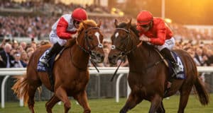 Quinté. Avis des entraineurs et jockeys. Tuyaux des pistes pour votre PMU du jour