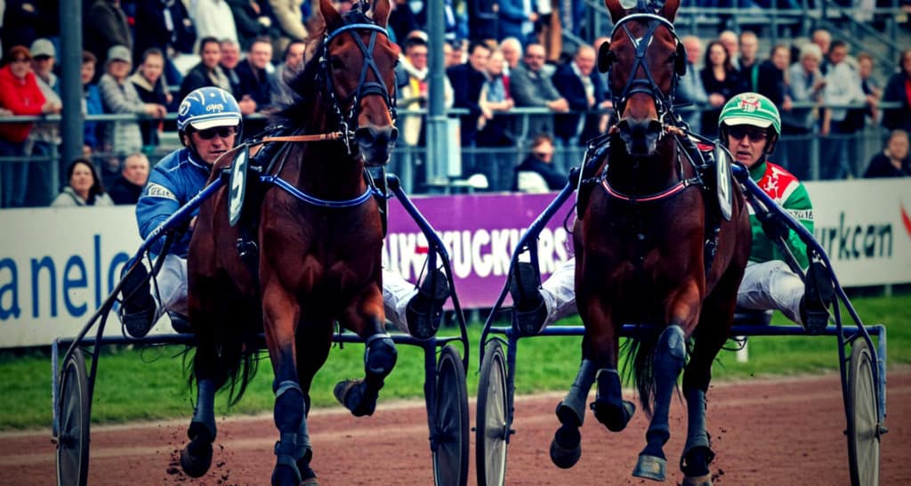 Quinté. Avis des entraineurs et jockeys, tuyaux des pistes pour votre PMU du jour. Trot
