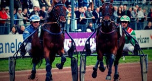 Quinté. Avis des entraineurs et jockeys, tuyaux des pistes pour votre PMU du jour. Trot