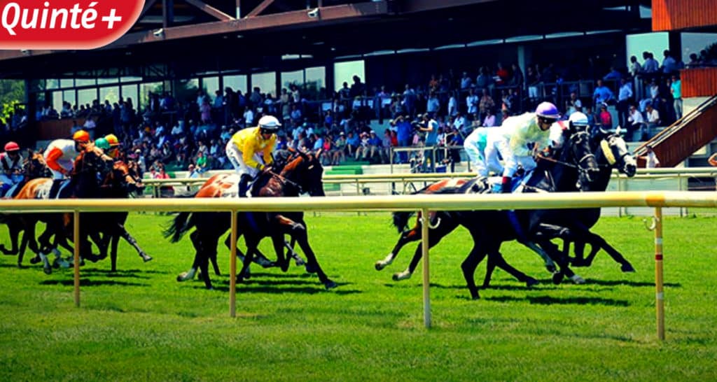 PMU 1 2 3 4 Bases solides et Pronostic Quinté du Jour au galop plat