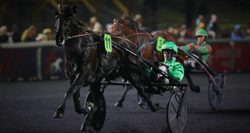Bases solides pour ce vendredi et Pronostic Quinté du Jour à Vincennes