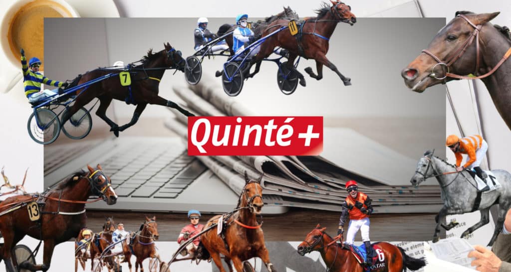 Quinté du Jour. Pronostics PMU Gratuits et Synthèse de la Presse