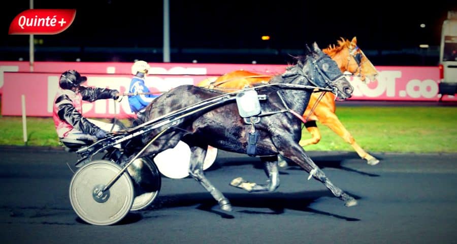 PMU. 1 2 3 4 Bases Solides et Meilleur Pronostic Quinté du Jour à Vincennes Vendredi