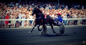 Et voici la dernière minute du quinté à cote magnifique au trot attelé