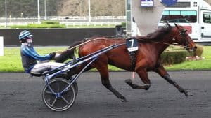 Idao de Tillard. Photo : Le Trot