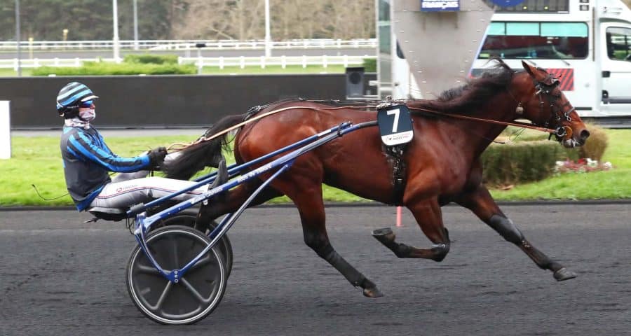 Idao de Tillard. Photo : Le Trot