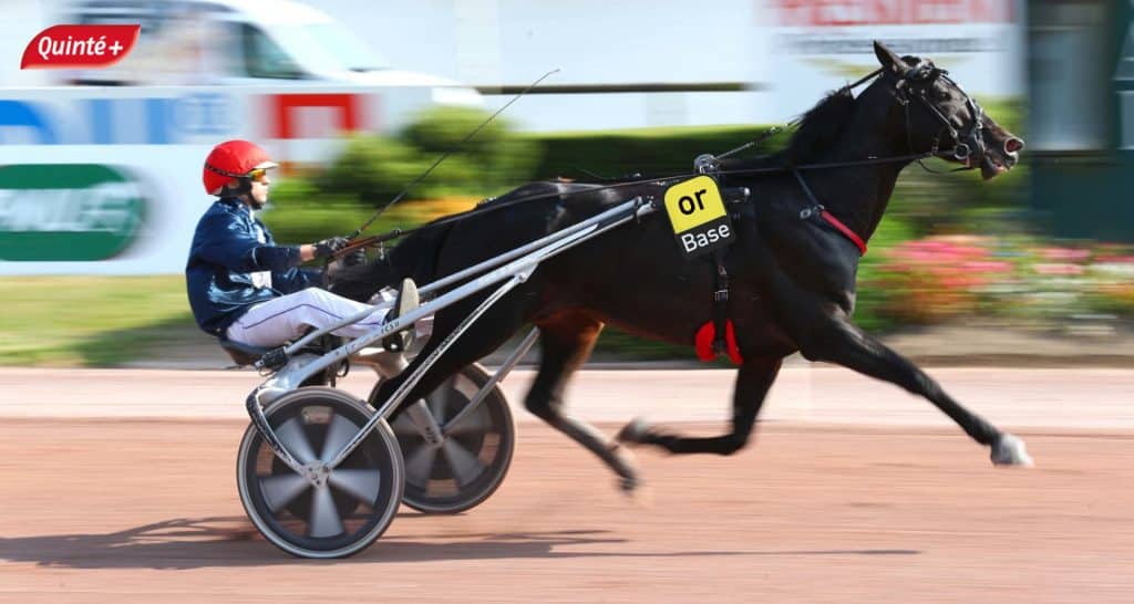 Base quinté en or et pronostic quinté du jour avec cheval en or et tocard