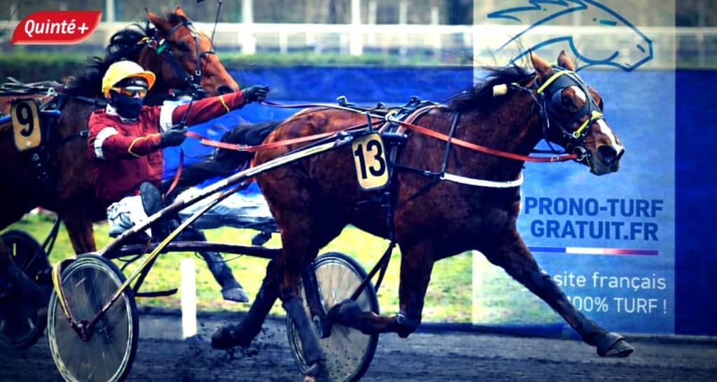 Pronostic quinté du jour avec base quinté solide (1)