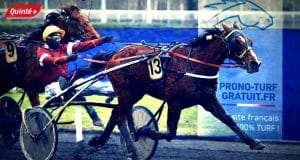 Pronostic quinté du jour avec base quinté solide (1)