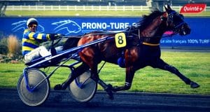 Pronostic quinté du jour avec base quinté solide