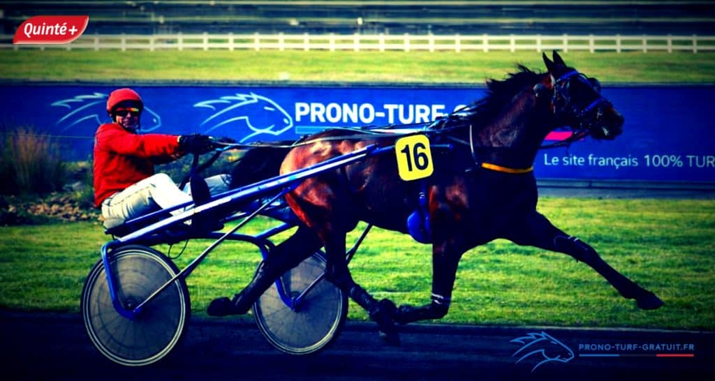 Base quinté en or, cheval solide et pronostic quinté du jour gratuit